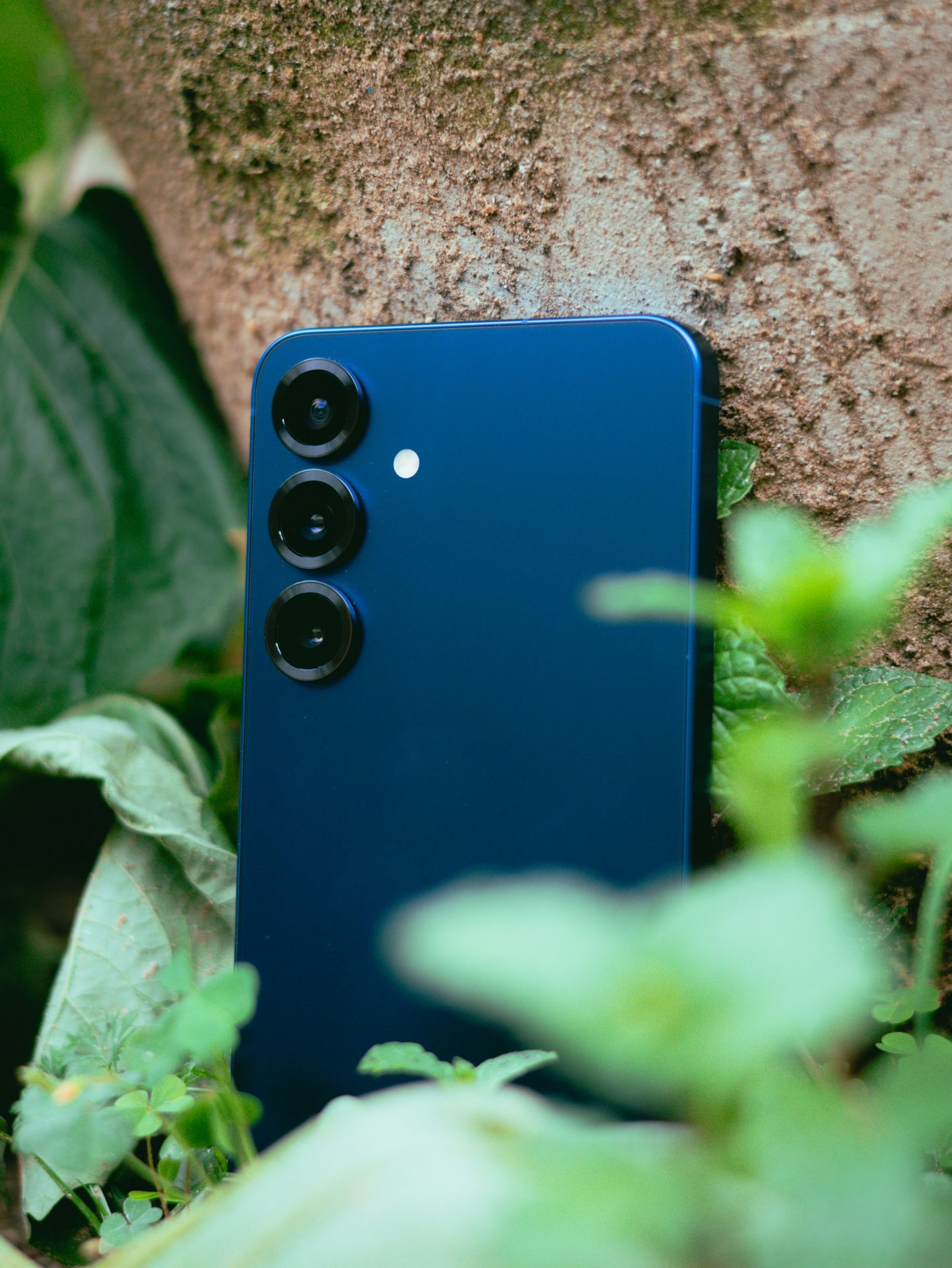 A blue smartphone rests against a tree.